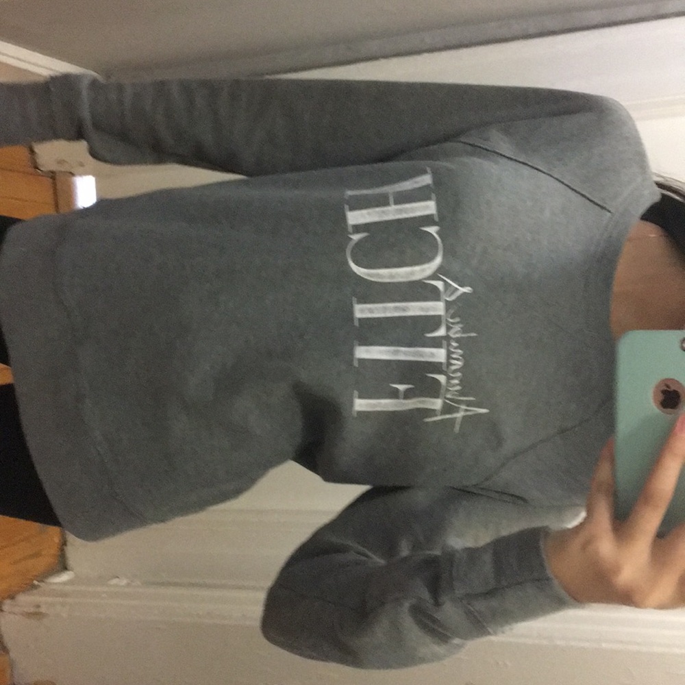 Abercrombie and Fitch sweatshirt (New)